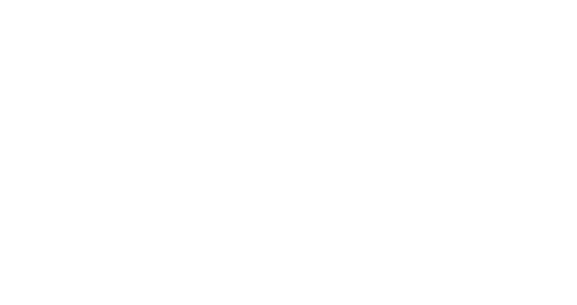 Logo Sfel