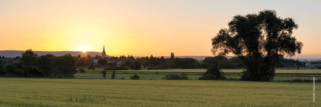 Sfel conçoit et fabrique des luminaires au cœur de la campagne poitevine dans une usine de 4000m² avec un parc machine récent